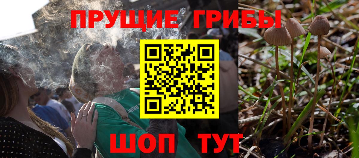 Псилоцибиновые грибы Cubensis  Галлюциногенные грибы Cubensis  Ачхой-Мартан  закладки  Вход с VPN 