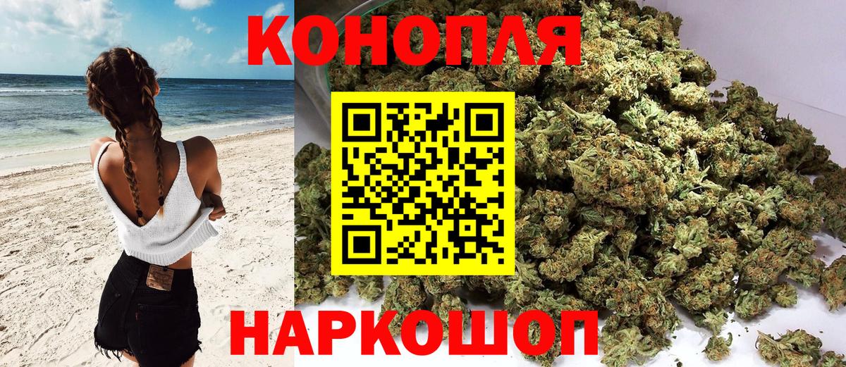 Ачхой-Мартан  Бошки Шишки MAZAR  Вход с VPN  Канабис White Widow 